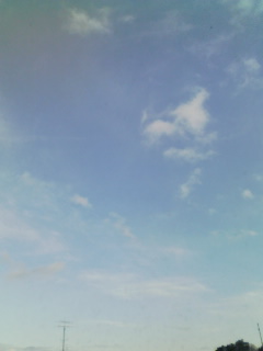 1��8���̋�