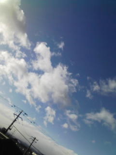 1��13���̋�