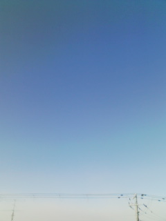 1��16���̋�