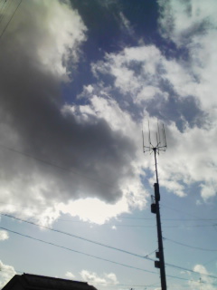 1��17���̋�