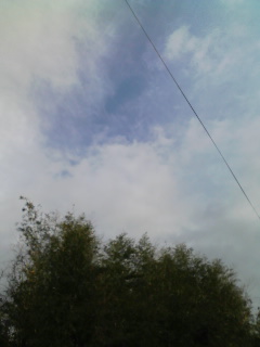 1��18���̋�