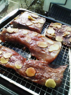 �V��������