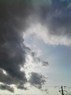 2��9���̋�