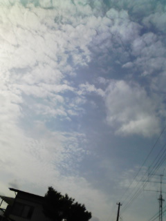 2��11���̋�