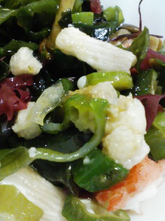 �C���T���_