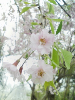 �t�� ���