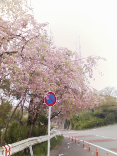 �t�� �O��