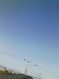 �_�͂ǂ����I