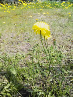 �s���^���|�|