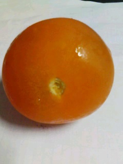 �I�����W�[�m