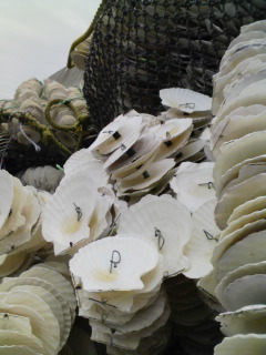 �z�^�e�z�^�e�z�^�e�c�c�c