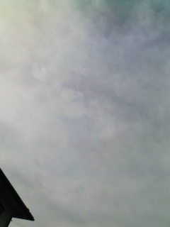 �ʂ�`����