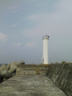 �����̒ނ��