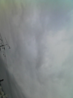 �܂��X������