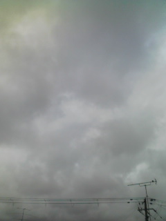 �����̋�