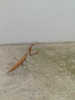 ���֐�̂��F����