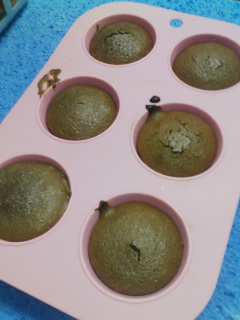 �t�H���_���V���R��